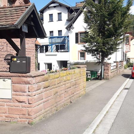 Grosse Wohnung Im Odenwald 1 Schonau  Exterior photo